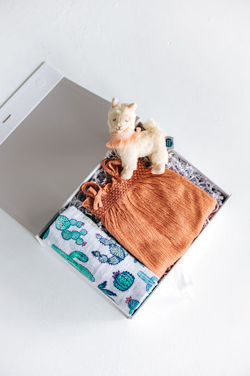 baby girl gift box including cactus pattern swaddle, orange outfit, and llama plushie