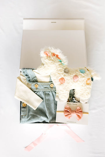 baby girl gift box with denim overalls, cream long sleeve onesie, pink bow headband, and pony plushie