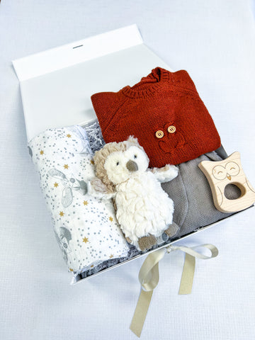 baby boy gift box with Harry Potter swaddle, owl plushie, owl sweater and pants, and owl shaped teething toy