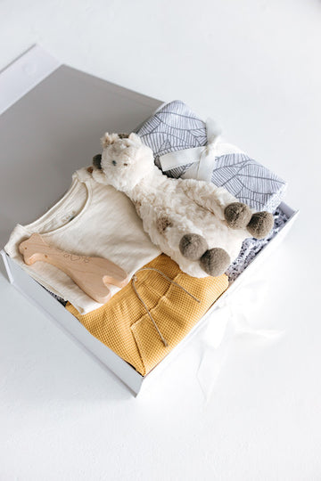 baby boy gift box with giraffe wood teether, giraffe plushie, swaddle, white tee and yellow waffle shorts set